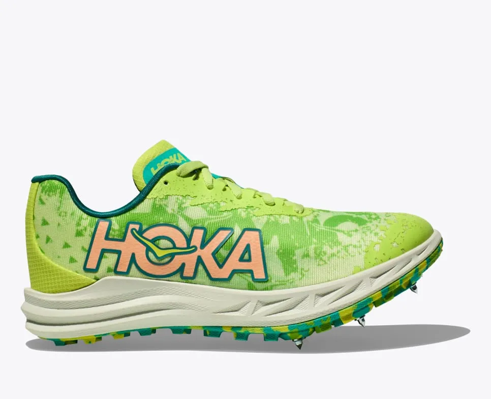 Lettuce / Electric Lime