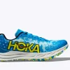 Crescendo XC Spikeless-diva blue / evening primrose